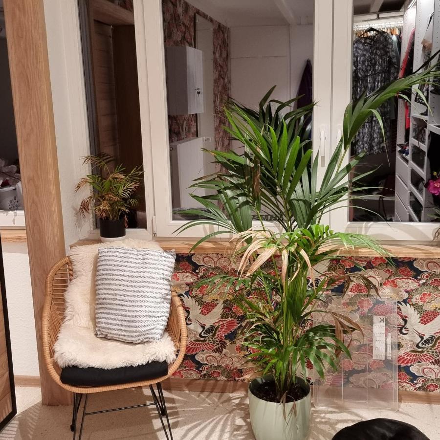 Exklusive Ferienwohnung Hattorfer Teiche ولفسبورج المظهر الخارجي الصورة